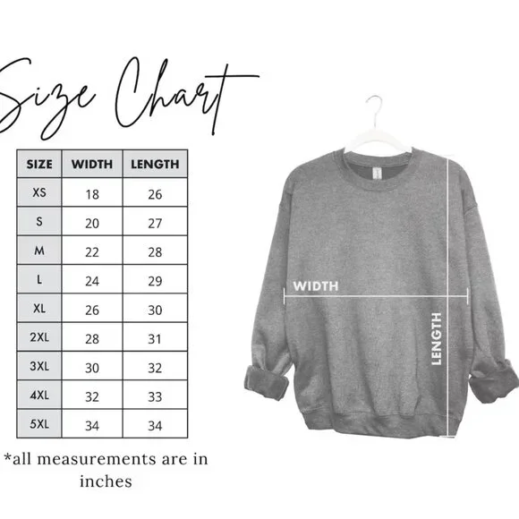 Pittsburgh Steelers Football Hoodie Sweatshirt Retro Steelers Shirt Sweater - Picture 2 of 2